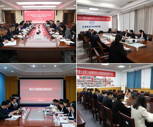 https://www.sdipct.edu.cn/__local/7/62/6D/7D99A5BF2CA6B787CB3338C0C5D_71771762_32F26.jpg